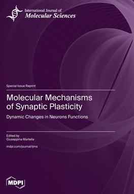 [预订]Molecular Mechanisms of Synaptic Plasticity 9783036587158