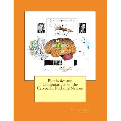 预订 Biophysics and Computations of the Cerebellar Purkinje Neuron: 9781502454546