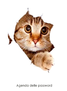 预订 Agenda Delle Password: Agenda Degli Indirizzi Web E Delle Password Di Accesso - Copertina Gatto 