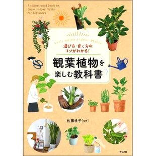 预订 選び方・育て方のコツがわかる!観葉植物を楽しむ教科書 Let’s enjoy Indoor Plants 学习如何选择和种植室内植物的*
