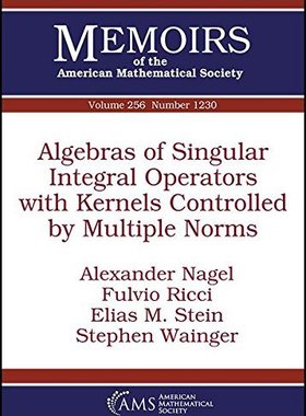 【预售】Algebras of Singular Integral Operators with Kernels Controlled by Multiple Norms