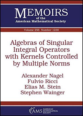 【预售】Algebras of Singular Integral Operators with Kernels Controlled by Multiple Norms