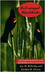 【预订】Red-Winged Blackbirds 9780226041865