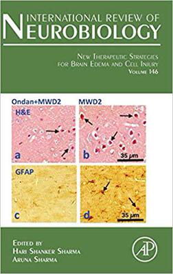 【预售】New Therapeutic strategies for Brain Edema and Cell Injury