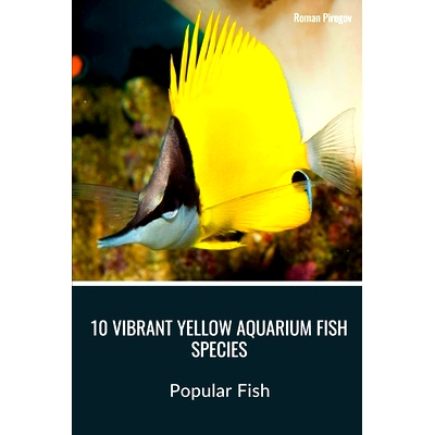 预订 10 Vibrant Yellow Aquarium Fish Species: Popular Fish: 9798876039576