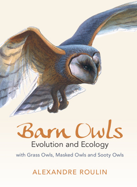 【预订】Barn Owls