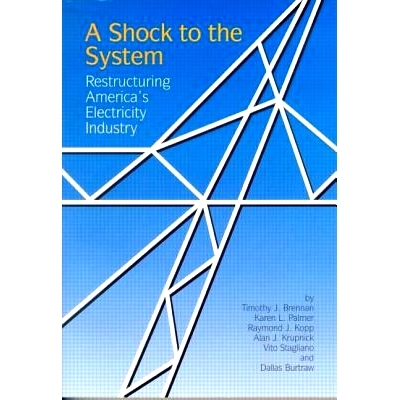 预订 A Shock to the System: Restructuring America’s Electricity Industry: 9780915707805