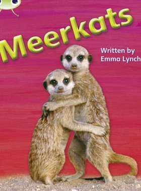 预订 Phonics Bug Meerkats Phase 5 语音甲虫 猫鼬 5: 9781408260890