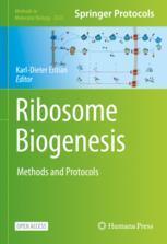 【预订】Ribosome Biogenesis 9781071625002