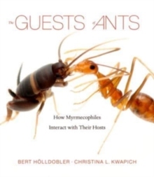 现货 The Guests of Ants: How Myrmecophiles Interact with Their Hosts 9780674265516