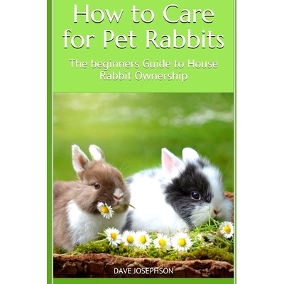 预订 How to Care for Pet Rabbits: The beginners Guide to House Rabbit Ownership: 9781675211458