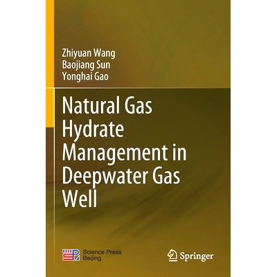 预订 Natural Gas Hydrate Management in Deepwater Gas Well: 9789811564208