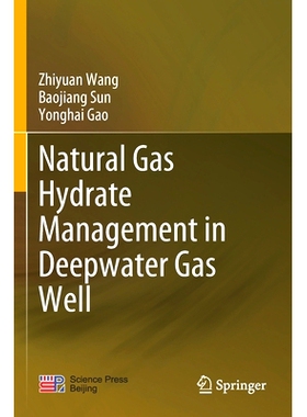 预订 Natural Gas Hydrate Management in Deepwater Gas Well: 9789811564208