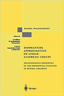 【预订】Diophantine Approximation on Linear Algebraic Groups 9783642086083
