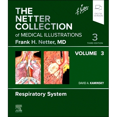 Respiratory System, Volume 3