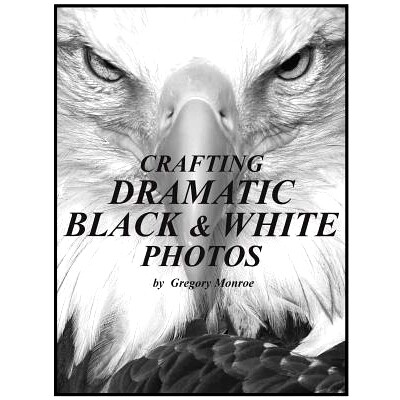 预订 Crafting Dramatic Black & White Photos: 9781503178885