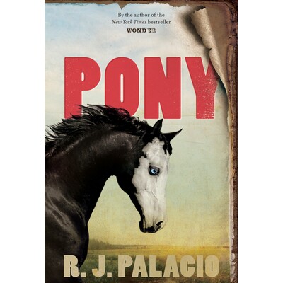 预订 Pony 无题宫#1: 9780553508116