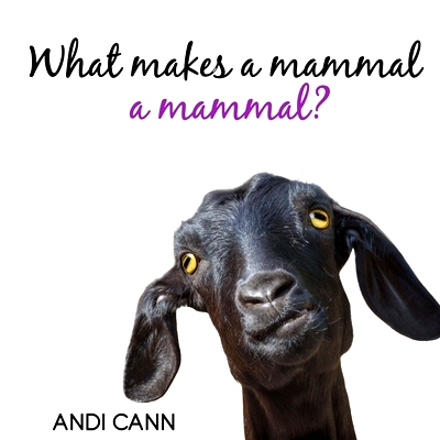 预订 What Makes a Mammal a Mammal?: 9781949761184