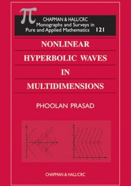 【预订】Nonlinear Hyperbolic Waves in Multidimensions