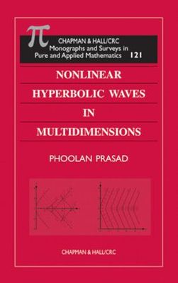 【预订】Nonlinear Hyperbolic Waves in Multidimensions