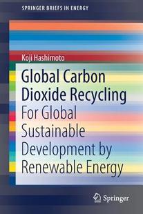 Development Recycling 预订 Energy Dioxide Carbon For Renewable Sustainable Global