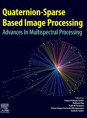 预订 Quaternion-Based Sparse Image Processing: Advances in Multispectral Processing 基于四元数的稀疏图像处理：多光谱处理