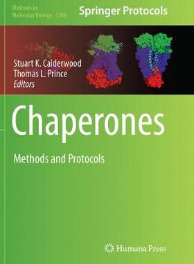 【预订】Chaperones