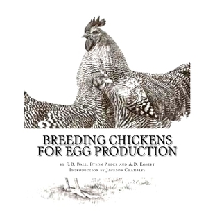 Breeding Production Chickens Egg 9781544847122 For 预订