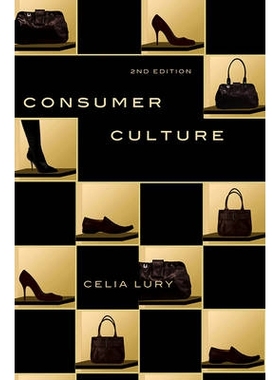 预订 Consumer Culture 2E 消费文化（平装）: 9780745643304