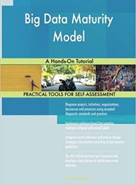 【预订】Big Data Maturity Model: A Hands-On Tutorial 9781979926621