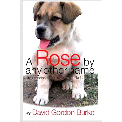 预订 A Rose by Any Other Name: Life Lessons from an Unremarkable Dog: 9781511589680