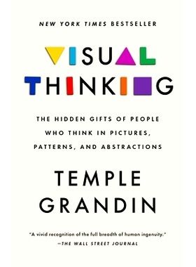 预订 Visual Thinking: The Hidden Gifts of People Who Think in Pictures, Patterns, and Abstractions: 9780593418376