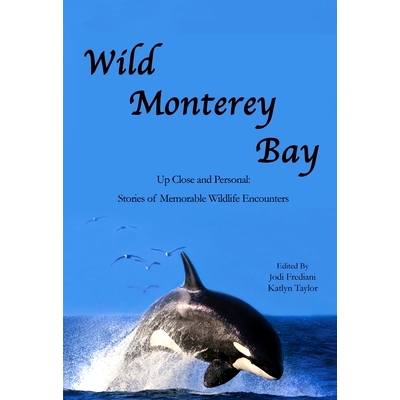 Up Close and Personal Stories of Memorab