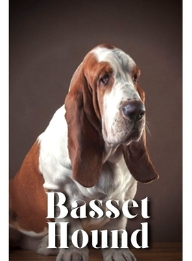 预订 Basset Hound: How to train your dog and raise from puppy correctly: 9798865018865