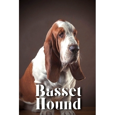 预订 Basset Hound: How to train your dog and raise from puppy correctly: 9798865018865