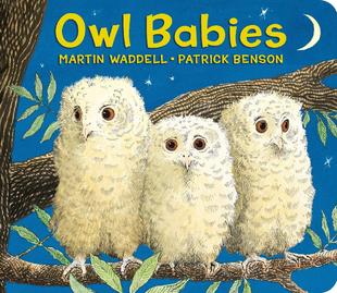 【预售】Owl Babies Lap-Size Board Book