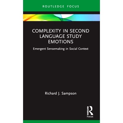 Emergent Sensemaking in Social Context