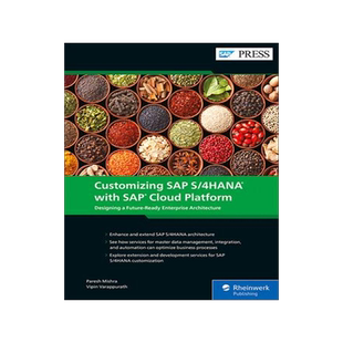 [预订]Customizing SAP S/4HANA with SAP Cloud Platform 9781493220083