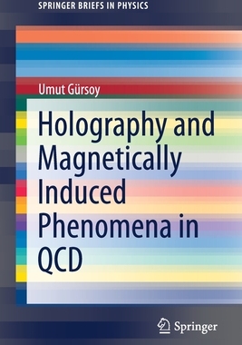 【预订】Holography and Magnetically Induced Phenomena in QCD 9783030795986