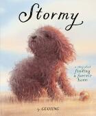 Story Forever 绘本 Home 独生小孩作者 郭婧 英文原版 寻找一个永远 家 暴风雨 Finding About 精装 Stormy