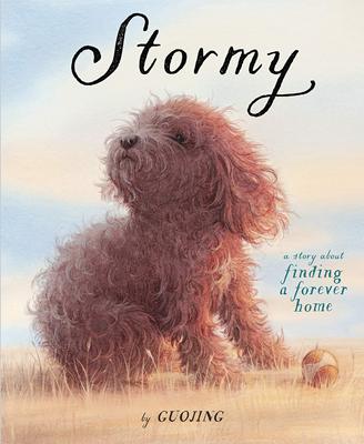 暴风雨 寻找一个永远的家 郭婧 精装绘本 英文原版 Stormy: A Story About Finding a Forever Home 独生小孩作者
