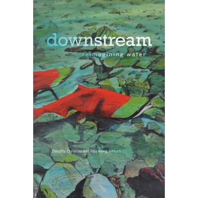 预订 downstream: reimagining water 下游：再塑造的水: 9781771122139