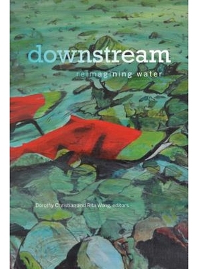 预订 downstream: reimagining water 下游：再塑造的水: 9781771122139