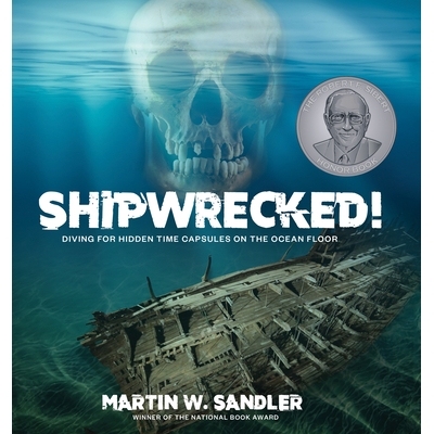 预订 Shipwrecked!: Diving for Hidden Time Capsules on the Ocean Floor 沉船！：潜入海底寻找隐藏的时间胶囊: 9781662602047