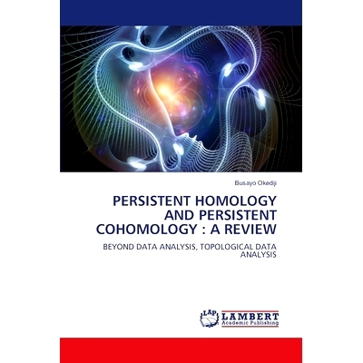 预订 PERSISTENT HOMOLOGY AND PERSISTENT COHOMOLOGY : A REVIEW 持久性同调与持久性上同调的研究进展: 9786207468270