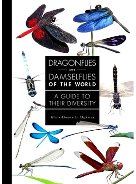 现货 Dragonflies and Damselflies of the World: A Guide to Their Diversity 世界之蝶:蝶类多样性指南: 9780691255033