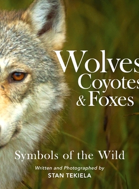 预订 Wolves, Coyotes & Foxes: Symbols of the Wild