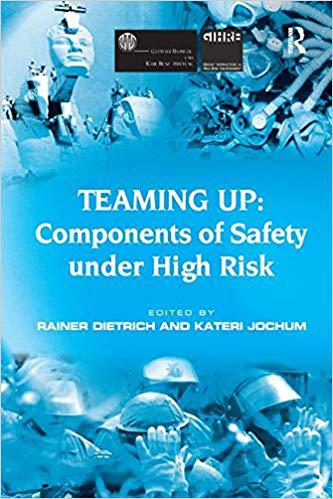 【预售】Teaming Up: Components of Safety Under High Risk