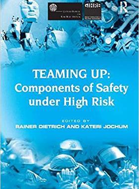 【预售】Teaming Up: Components of Safety Under High Risk