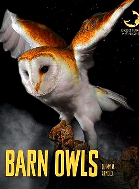 预订 Barn Owls: 9781640261174